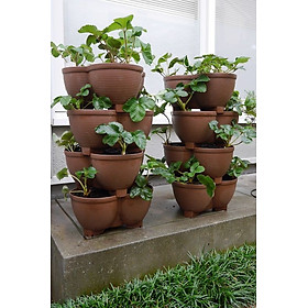 Bộ tháp trồng rau sạch tiện lợi 3 cánh Yamada 4 in 1 hàng Made in Japan 