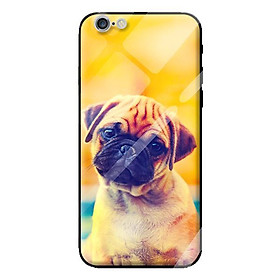 Ốp kính cường lực cho iPhone 6s Plus chó 25 - Hàng chính hãng