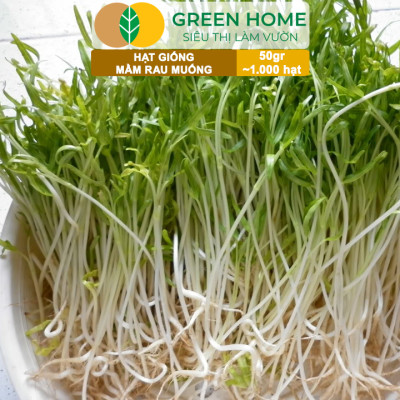 Hạt Giống Mầm Rau Muống Greenhome, Gói 50g~1000 hạt, Dễ Trồng Quanh Năm, Nảy Mầm Cao, Thu Hoạch Nhanh, Năng Suất Cao R14