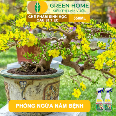 Chế Phẩm Trừ Bệnh Sinh Học OAU 81.7 EC GreenHome, Chai 550Ml, Đặc Trị Và Phòng Ngừa Các Loại Nấm Bệnh Cho Cây Hoa Và Cây Kiểng