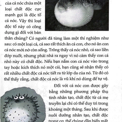 10 Vạn Câu Hỏi Vì Sao? - Động Vật (Tái Bản 2023 - HH)