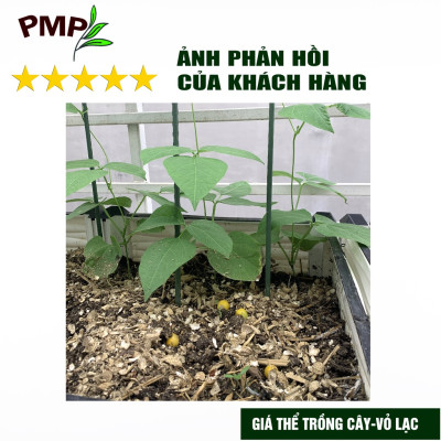 Combo 1 túi giá thể bã mía 500g & 1 túi vỏ lạc 1Kg dập nhỏ PMP để trộn đất, phủ bề mặt trồng cây