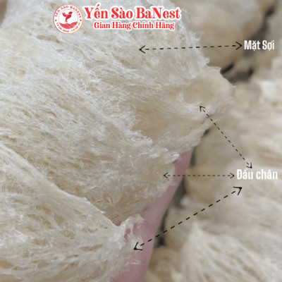 Tổ Yến Sào Tinh Chế 2 Lớp Sợi kèm quà tặng - Yến Sào BaNest