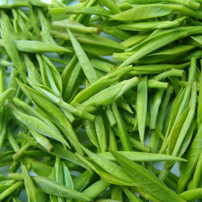Combo 02 gói trà xanh tân cương 500 gram - Trà tân cương đặc biệt