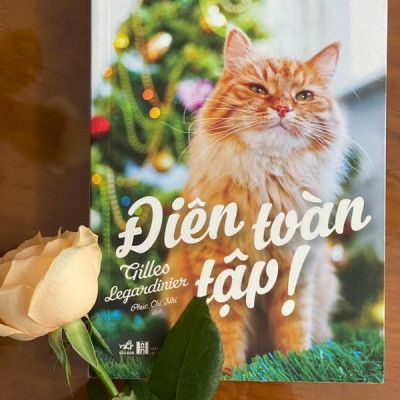 Sách - Điên toàn tập! (Nhã Nam HCM)