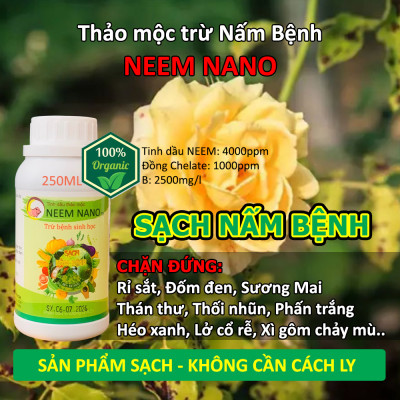 VƯỜN SINH THÁI - Thuốc trừ nấm bệnh sinh học neem nano. Quét sạch thán thư, rỉ sắt, thối nhũn, đốm đen, héo xanh, phấn trắng. 100% Thiên Nhiên