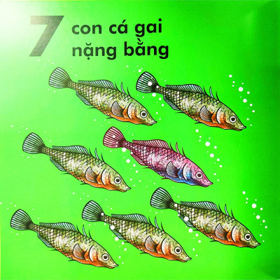 Bọ Rùa Nặng Chừng Nào? (Tái Bản 2023)