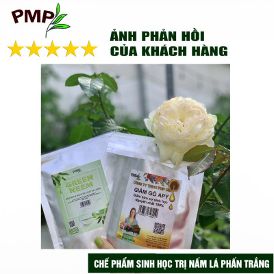 Giấm Gỗ Sinh Học APY PMP Chai 1000ml Kháng Đốm Lá, Đốm Đen, Vàng Lá, Phấn Trắng Cho Hoa Hồng, Rau Sạch, Lan, Cây Cảnh