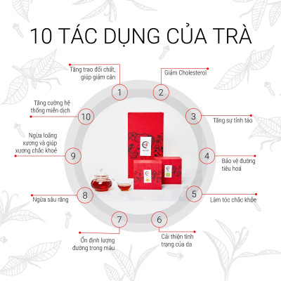 TRÀ VIỆT Hộp Quà Tri Ân Gỗ Thông Trắng New Zealand Cao Cấp