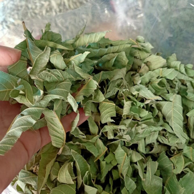 Lá ổi khô - Sản phẩm hữ cơ tự nhiên gói 1kg
