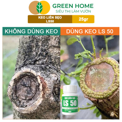Keo Liền Sẹo LS50 Cho Cây Greenhome, Liền Nhanh Vết Cắt Da Cây, Chiết Cành,  Bonsai, Lan, Kiểng Lá
