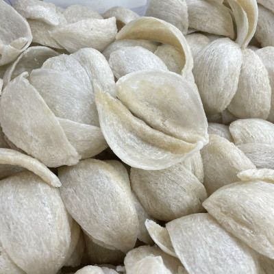 TỔ YẾN RÚT LÔNG ĐINH HÌNH HỘP 50GR - YẾN SÀO ĐỖ THỊ TOÁN - QUÀ TẶNG SANG TRỌNG - LÀM CHẬM QUÁ TRỊNH LÃO HÓA - BỔ PHẾ TRỪ HO SẠCH PHỔI