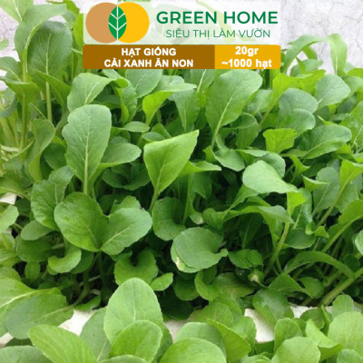 Hạt Giống Rau Cải Ăn Non Greenhome, Gói 20g~1000 hạt, Dễ Trồng Quanh Năm, Nảy Mầm Cao, Thu Hoạch Nhanh, Năng Suất Cao R05