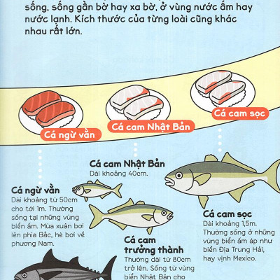 Gi Gỉ Gì Gi Cái Gì Cũng Biết - Dành Cho Lớp 2