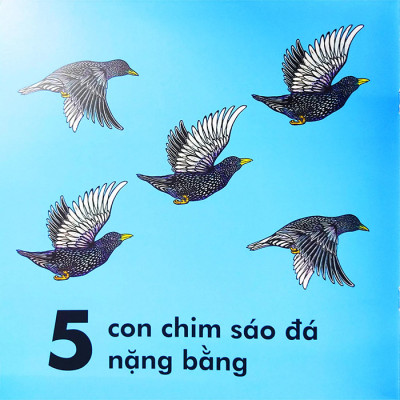 Bọ Rùa Nặng Chừng Nào? (Tái Bản 2023)