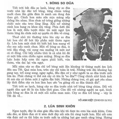 171 Bài Và Đoạn Văn Hay Lớp 9