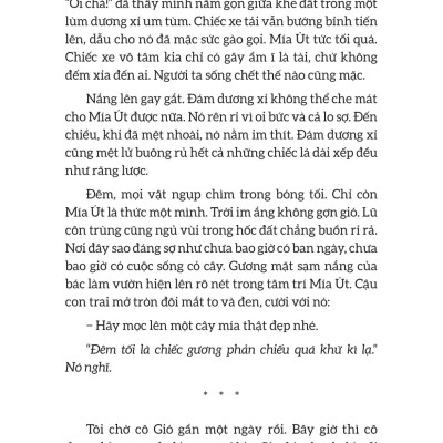 Sách - Tiếng Sáo Gà Lôi