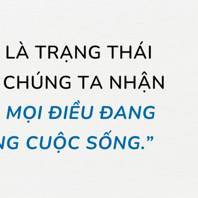 Con Đường Chuyển Hoá - Sa Môn Thích Pháp Hòa - FN