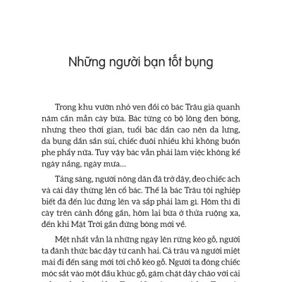 Sách - Tiếng Sáo Gà Lôi