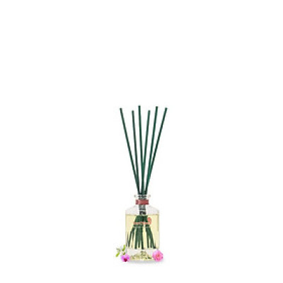 Que mây tán hương ban mai Aura Spring