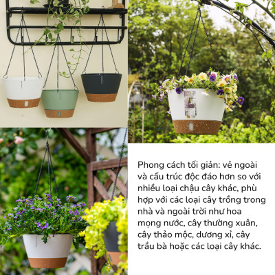 Chậu treo tự tưới MONROVIA cho cây trong nhà và ngoài trời decor không gian sống, có móc treo sắc