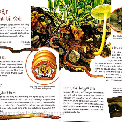 Động Vật Kỳ Quặc