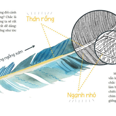 Sách - Khoa Học Bỏ Túi - Tại Sao Chim Bay Không Rơi?