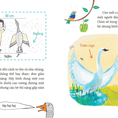 Sách - Khoa Học Bỏ Túi - Tại Sao Chim Bay Không Rơi?