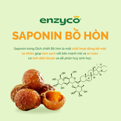 Combo Tẩy Rửa Sinh Học ENZYCO -  Nước Lau Sàn 2L, Nước Rửa Bát 465ml, Nước Giặt 2L