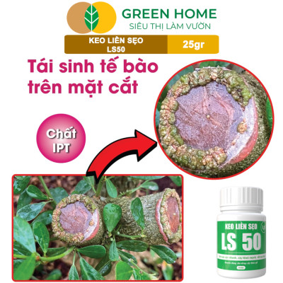 Keo Liền Sẹo LS50 Cho Cây Greenhome, Liền Nhanh Vết Cắt Da Cây, Chiết Cành,  Bonsai, Lan, Kiểng Lá