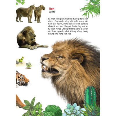 Sách - Thế Giới Động Vật Ở Vườn Thú Châu Phi - Chính Thông Book