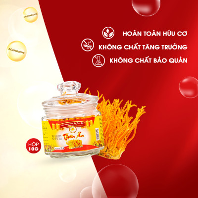 Đông Trùng Hạ Thảo Sấy Thăng Hoa Thiên Ân - Hũ 10g