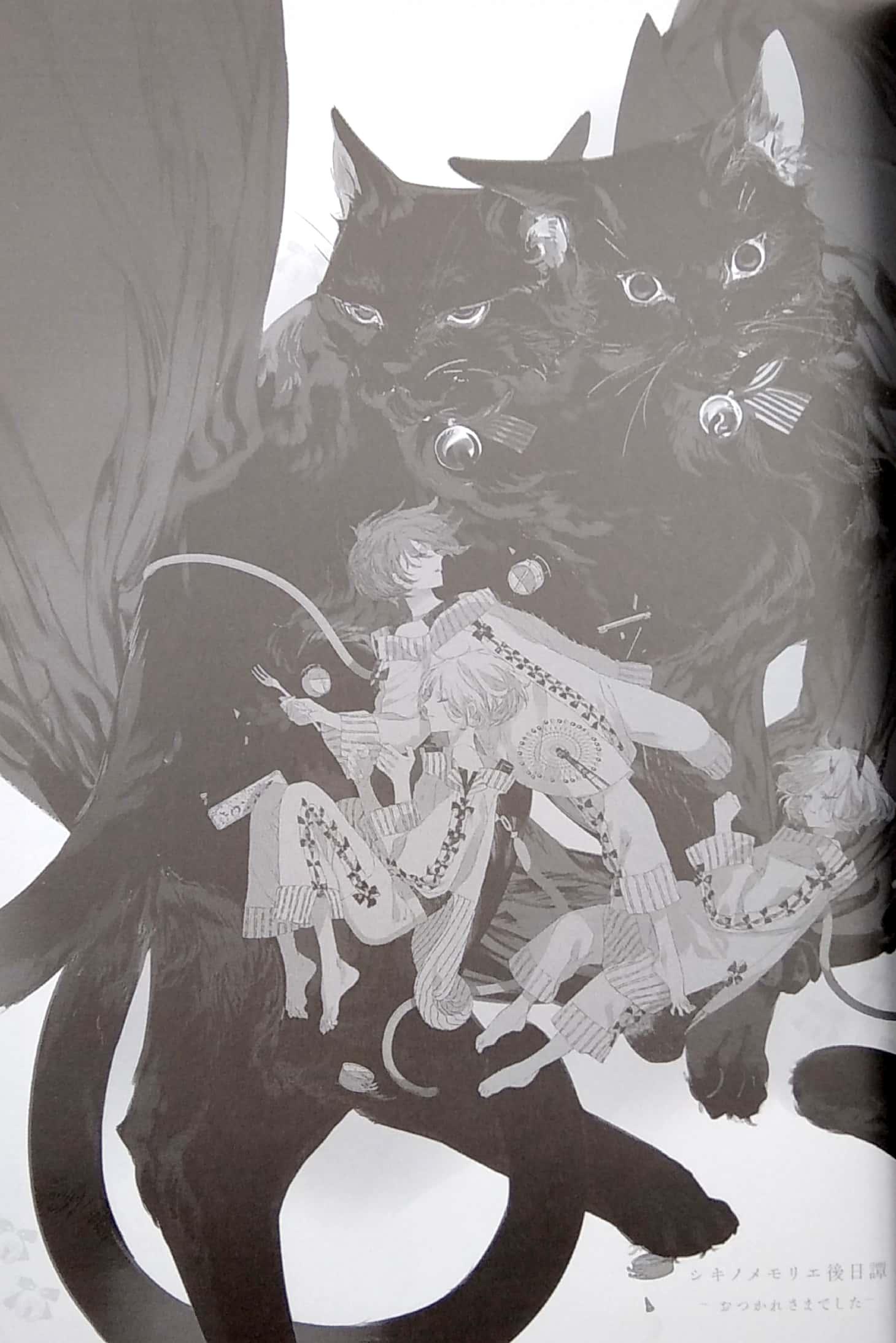 Honojiro Towoji Illustration Works (Japanese Edition)