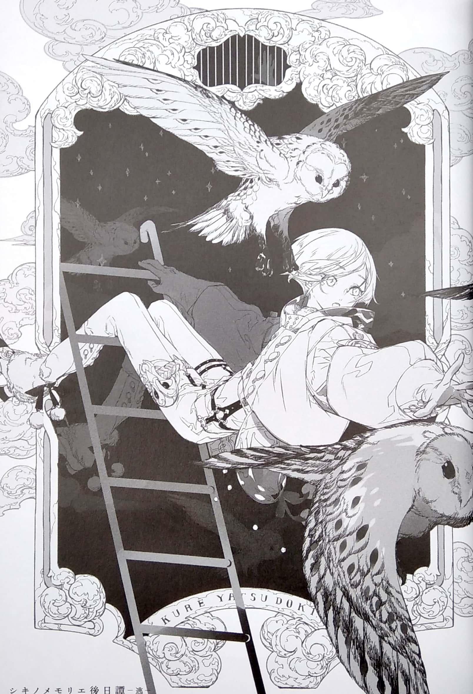Honojiro Towoji Illustration Works (Japanese Edition)