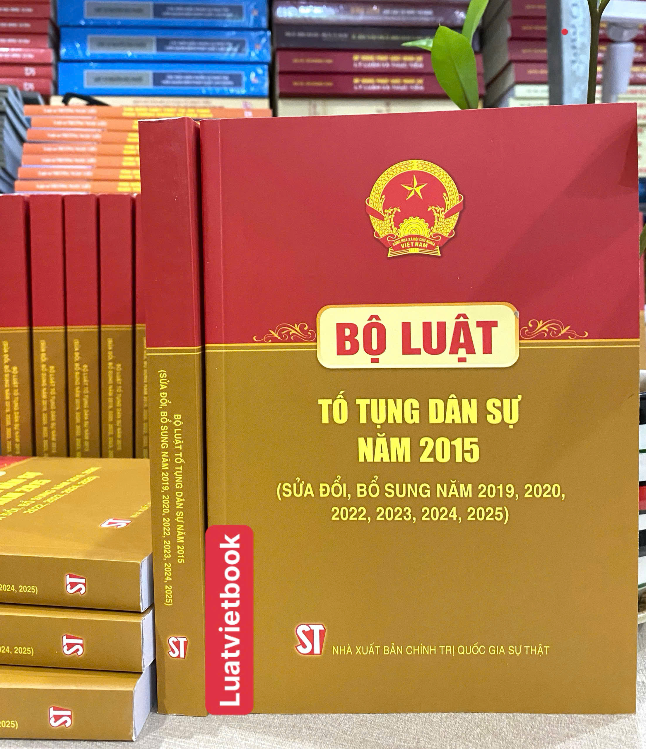 Bộ Luật Tố Tụng Dân Sự Năm 2015 ( Sửa Đổi, Bổ Sung Năm 2019, 2020, 2022, 2023, 2024, 2025 )