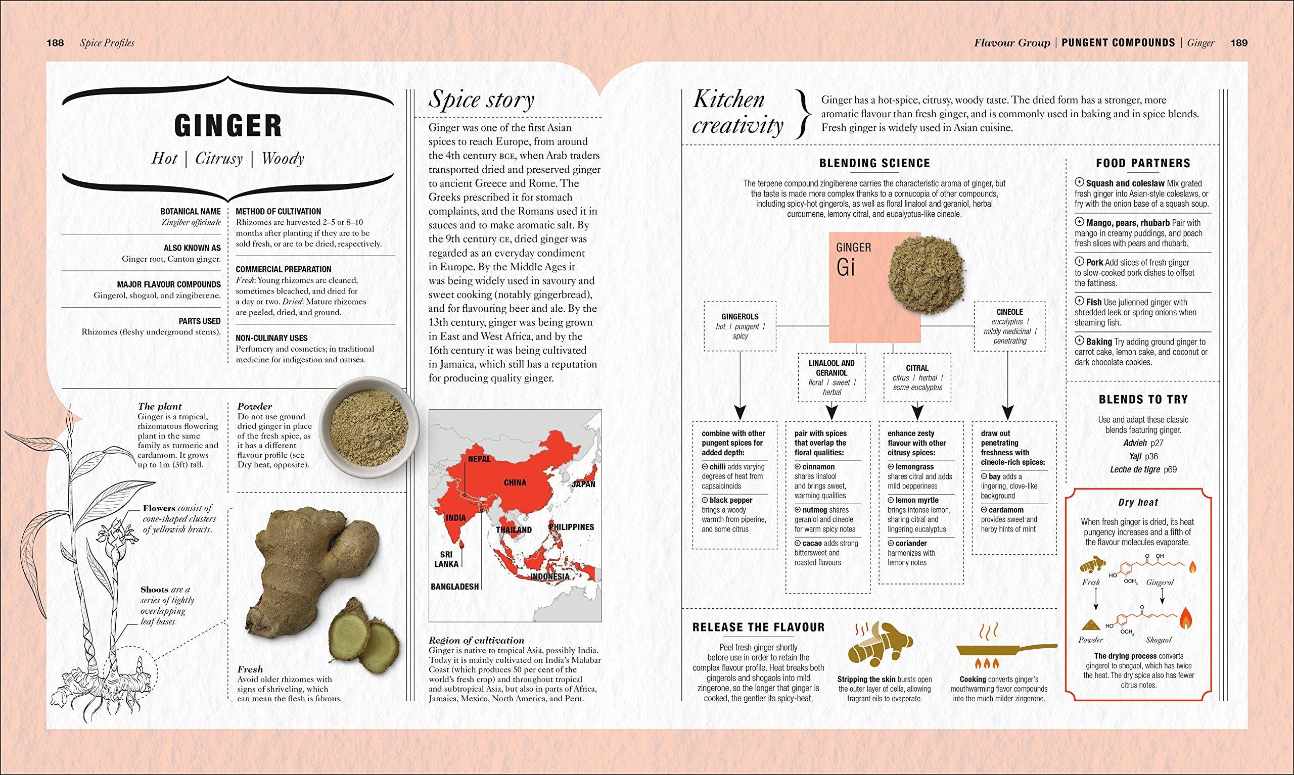 The Science Of Spice: Understand Flavor Connections And Revolutionize Your Cooking