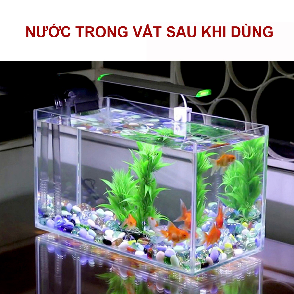 Vi Sinh PSB 100ML hồ cá thế hệ mới: trong nước, bổ sung VITAMIN, ổn định PH cho bể cá, hồ cá cảnh