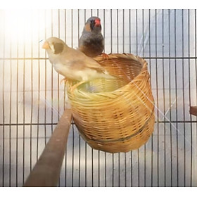 1 tổ đẻ bằng tre dành cho các dòng chim nhỏ như manh manh, finch, sắc nhật
