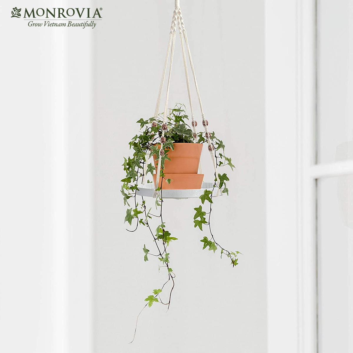 Set dây treo Macrame kèm đĩa đựng chậu MONROVIA, trang trí trong nhà, sân vườn, đan thủ công tỉ mỉ, Tiêu chuẩn Châu Âu