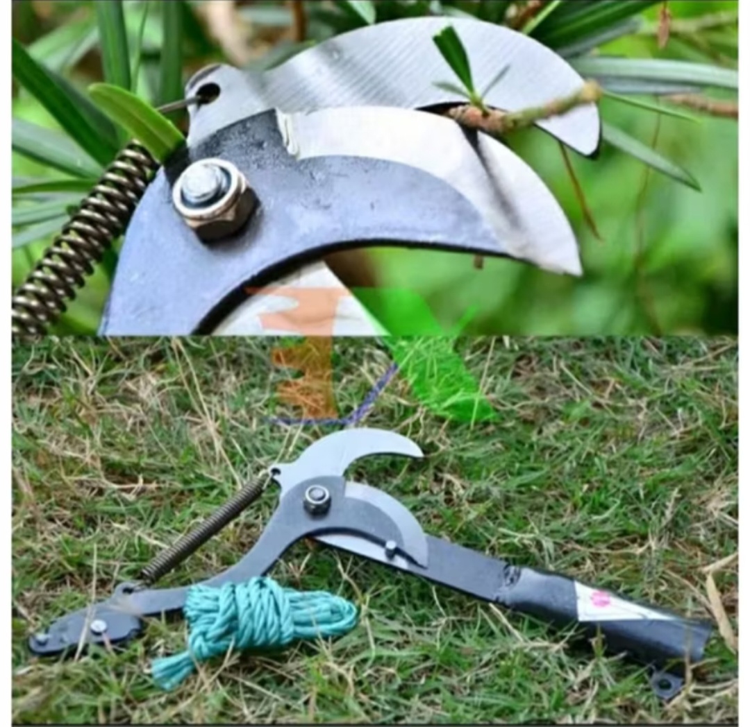 ĐẦU KÉO CẮT TỈA CÀNH CÂY HÁI HOA QUẢ TRÊN CAO ĐA NĂNG