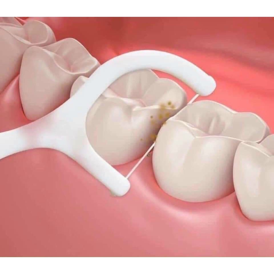 Phụ kiện nhà bếp phòng ăn - Set hộp 50 cây tăm chỉ nha khoa ,an toàn dễ sử dụng