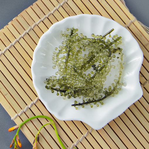 Đĩa sò Long Phương bằng sứ trắng cao cấp