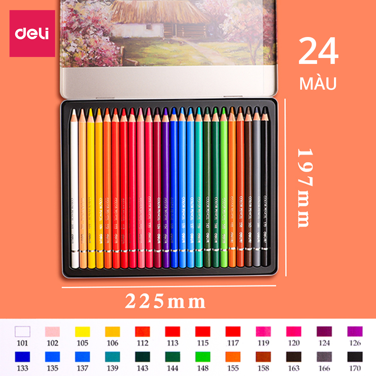 Bút chì màu gốc dầu cao cấp Deli - 6565 / 6566 / 6567