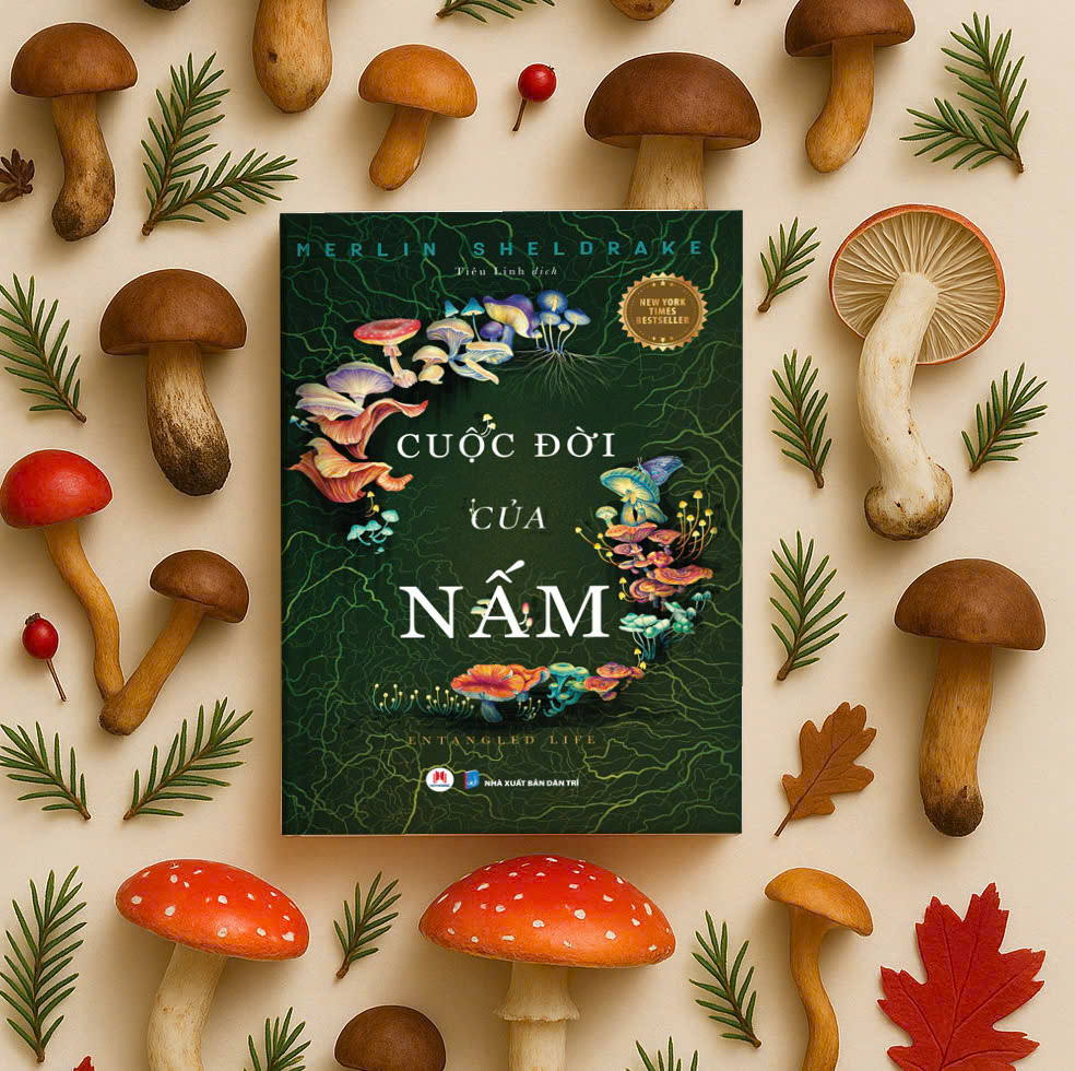 Cuộc Đời Của Nấm - Entangled Life (New York Times Bestseller)