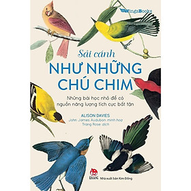 Sách - Sải Cánh Như Những Chú Chim - Những Bài Học Nhỏ Để Có Nguồn Năng Lượng Tích Cực Bất Tận - NXB Kim Đồng