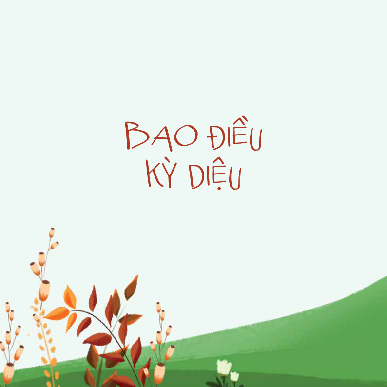 Bộ Sách Vần Điệu Cho Em (Bộ 4 Cuốn)