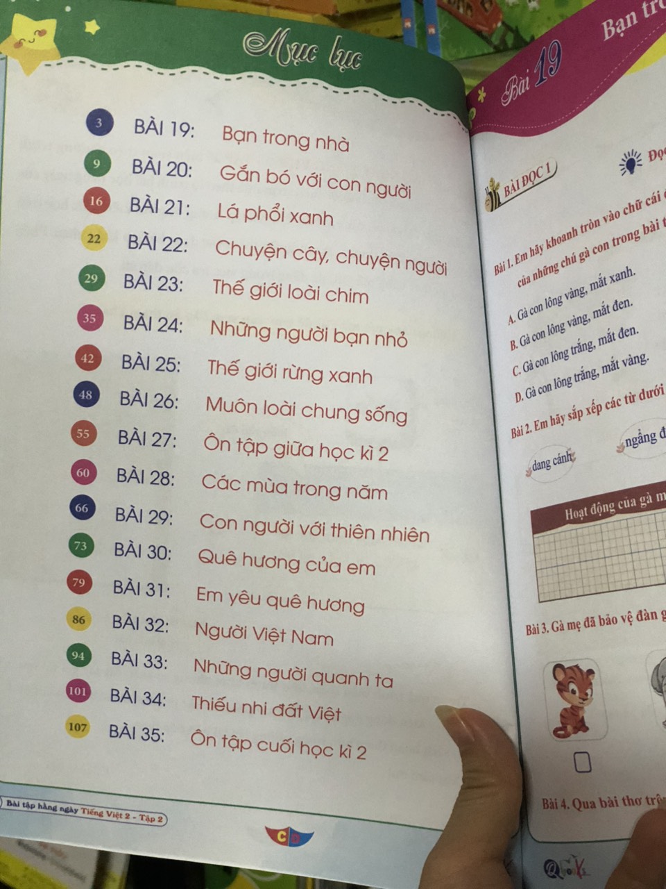Sách - Combo Bài Tập Hằng Ngày - Toán và Tiếng Việt Lớp 2 - cánh diều - Tập 1, 2 (2 cuốn) ,