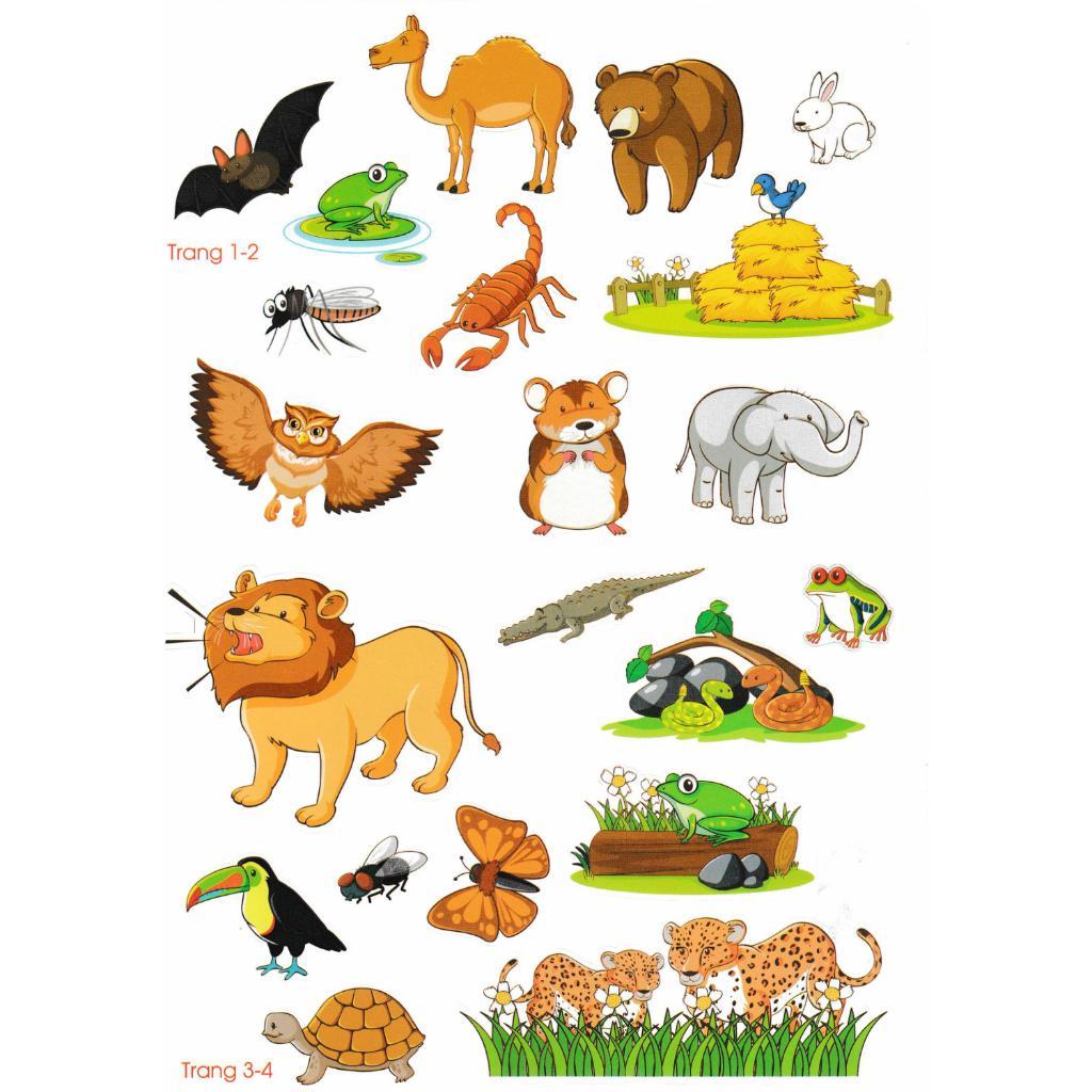 Sách - Bóc Dán Decal Thông Minh Sticker - Động Vật Hoang Dã - Hồng Ân