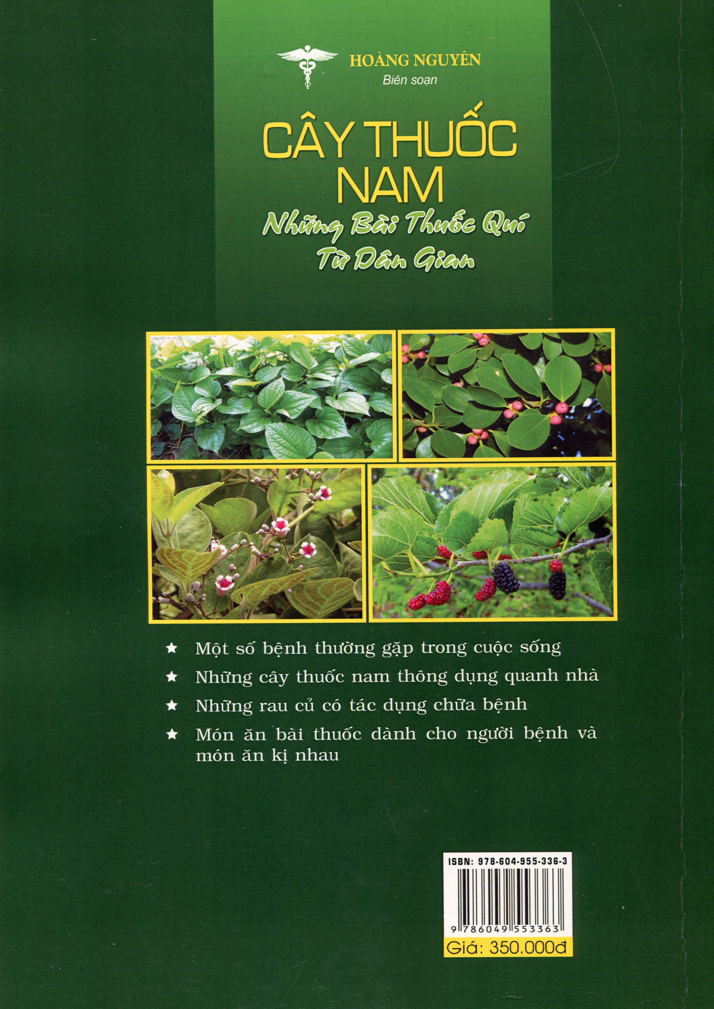 Cây Thuốc Nam - Những Bài Thuốc Quí Từ Dân Gian