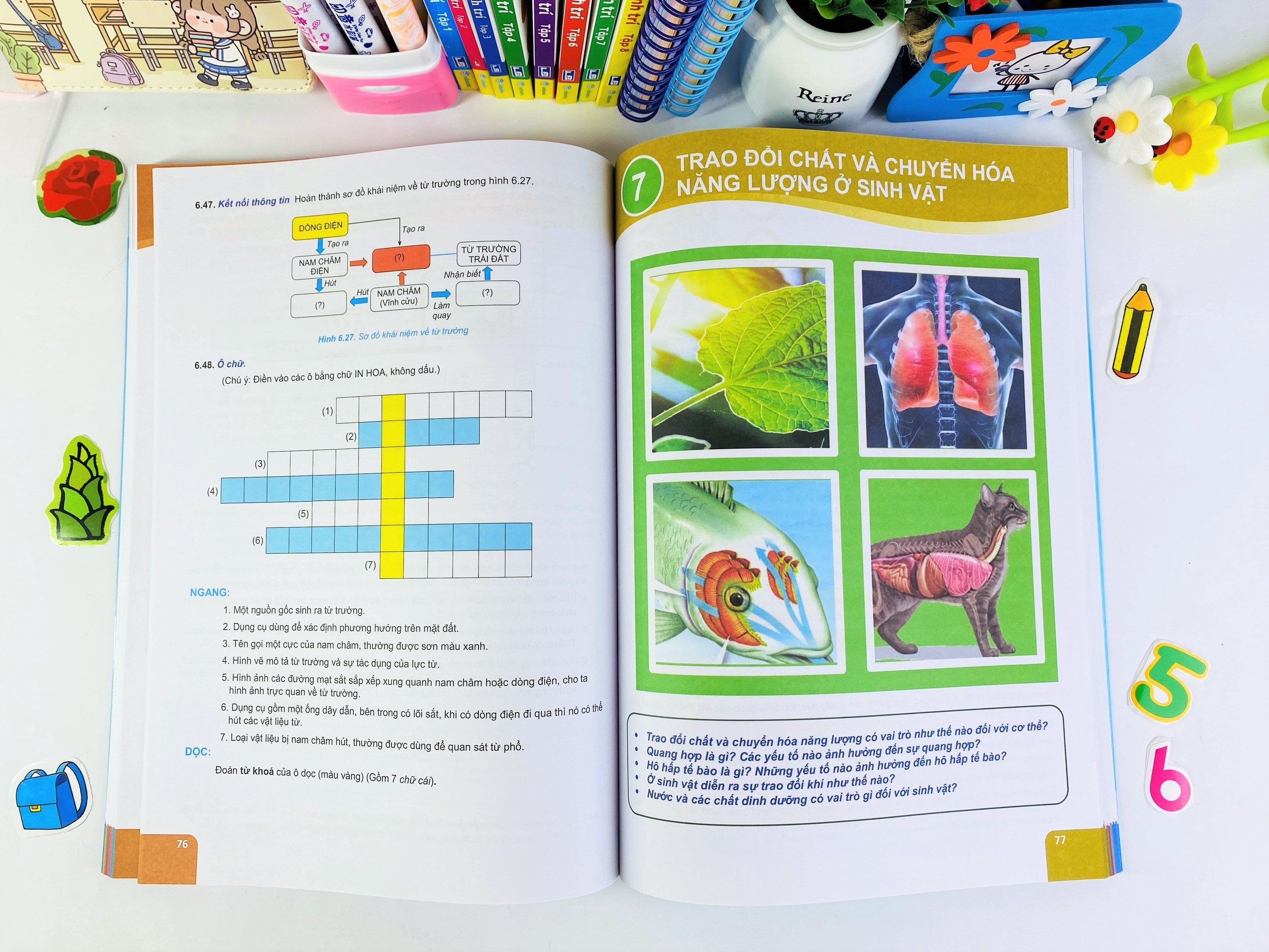 Sách - Củng Cố và Ôn Luyện Khoa Học Tự Nhiên Lớp 7 - Dùng chung cho các bộ SGK hiện hành - ndbooks